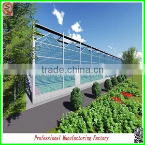 Durable Aluminium Profiles Venlo Polycarbonate Green House With High Quality and Best Service thumbnail-1