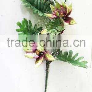 SD800918 Spring Flower Medinilla Magnifica Flower Decoration thumbnail-4