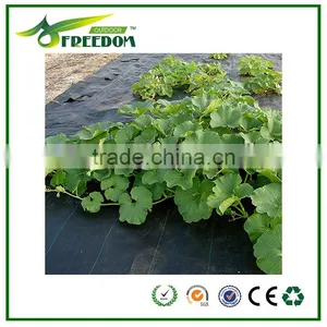 High-quality Plastic Ground Cover for Agriculture thumbnail-6