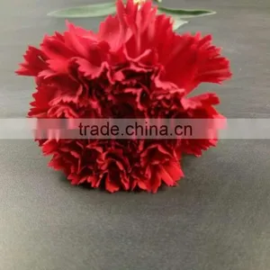Wedding Decoration Centerpieces Fresh Cut Flower Carnation Exporting From Yunnan thumbnail-1