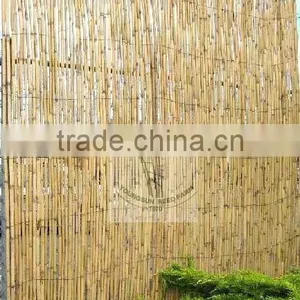 Reed Fence thumbnail-2