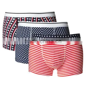 Underwear Teen Boys Briefs Tumblr With Stars and Stripes thumbnail-1