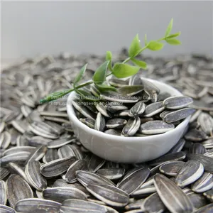 New Crop Sunflower Seeds From Inner Mongolia thumbnail-1