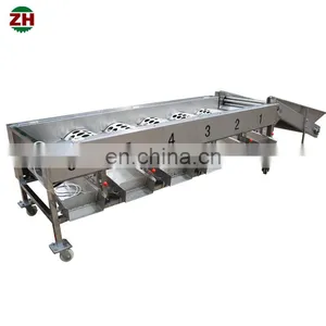 Fruit and Vegetable Sorting Machine Fruit Size Sorting Machine Apple Grading Machine thumbnail-2