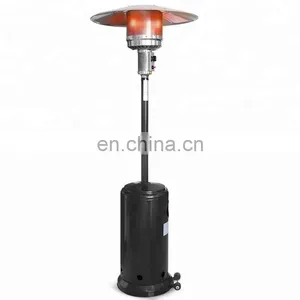 Stainless Steel Waterproof Decorative Gas Heaters thumbnail-2