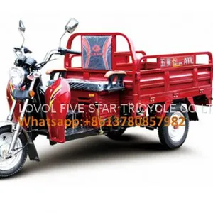 Gasoline Tricycle Cargo Loader Lovol Three Wheeler Mali Ethiopia Ghana Bukina Faso Tanzania Kenya Senegal Togo Benin Nigeira Mauritania Angola Burundi Chad Cameroon C ô te D'Ivoire Gabon Guinea Mozambique Rwanda Congo Uganda Zimbabwe thumbnail-1