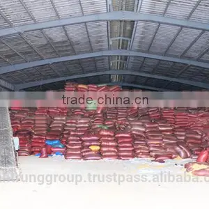 Office and Warehouse for Rent Vietnam thumbnail-2