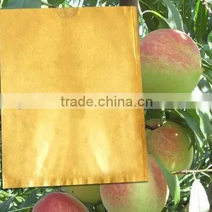 Paper Material Fruit Paper Bag thumbnail-3