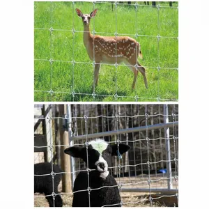 Wholesale Hot Dipped Galvanized Cattle Field Fence Low Maintenance Deer/Cow Guard Carbon Steel Frame With Livestock Fence Posts thumbnail-4