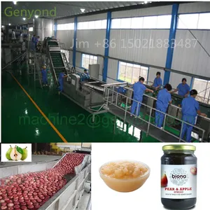 Fresh Fruit Jam Production Line Jam Making Machine thumbnail-5
