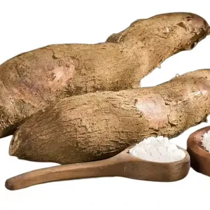 Cassava Starch Yam Starch Processing Machine Production Line thumbnail-1