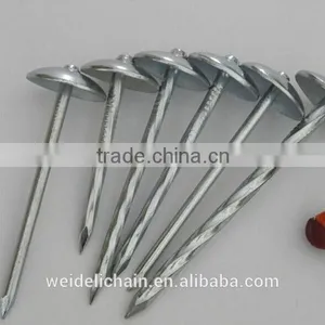 3''x9bwg Twisted Shank Roofing Nails/umbrella Roofing Nails thumbnail-1
