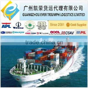 DDU DDP Sea Freight From China to Antwerp (20/40ft Shipping Container) thumbnail-1