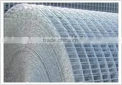 Welded Wire Mesh thumbnail-1