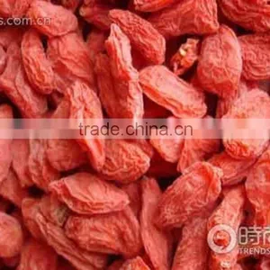 RED GOJI BERRY thumbnail-1