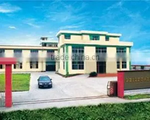 Guangzhou Dingtian Toys Co., Ltd. company overview - view 1 thumbnail