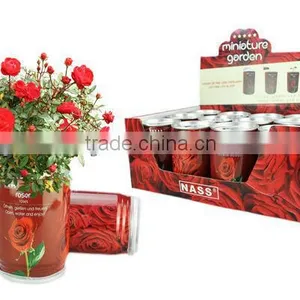 Flower Can,can Flower,flower Tin thumbnail-1