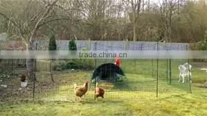 Factory Chicken Plastic Net/hencoop Plastic Net thumbnail-1