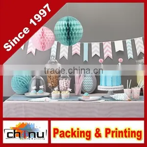 Ginger Ray Chevron Bunting Hanging Party Decoration - Chevron Divine (420026) thumbnail-1
