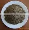 Green Cumin Seeds thumbnail-1