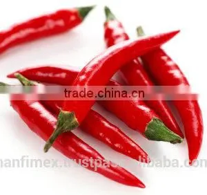 HACCP/HALAL/KOSHER/FDA RED DRY CHILLI thumbnail-3