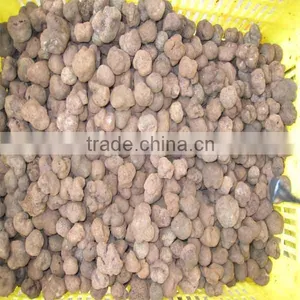 Chinese Frozen Fresh Truffles With Best Price thumbnail-3