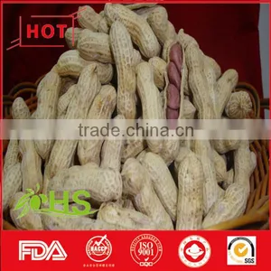 Blanched Peanut Kernel/Peanuts in Red Shell/Peanut Kernels thumbnail-2