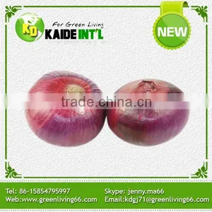 Competitive Price Fresh White Onion thumbnail-4