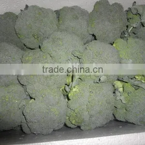 Chinese Clean Fresh Broccoli thumbnail-1