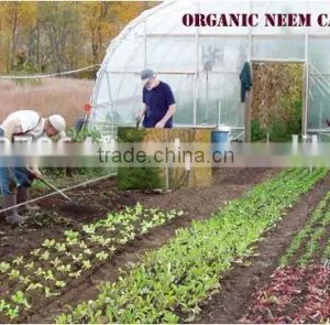BIO FERTLIZER - NEEM CAKE thumbnail-5
