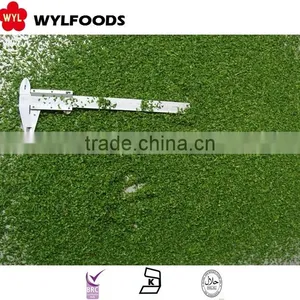 IQF High Quality Frozen Parsley thumbnail-2