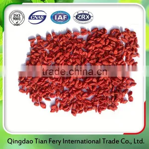 China Organic Fresh Goji Berry Distributors thumbnail-1
