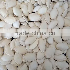 Hot Sale Big Size 10-11mm Chinese Pumpkin Seeds thumbnail-3
