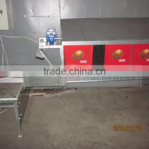 New Design Automatic Egg Collecting System thumbnail-1