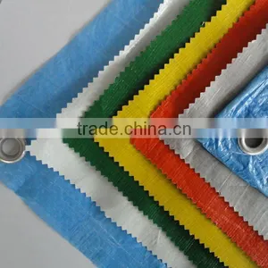 Tarpaulin Birthday Design/truck Tarpaulin thumbnail-1