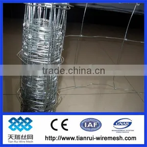 2013 Professional Manufacture Grassland Fence/farm Field Fence /cattle Fence (factory Price ) thumbnail-1