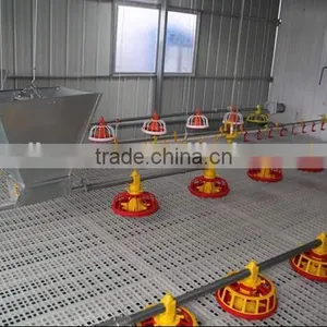 Automatic Poultry Control Shed Equipment for Broilers and Breeders thumbnail-4