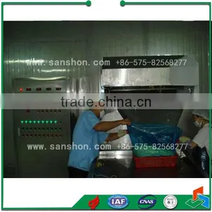 Food Freezing IQF Blast Freezing Quick Vegetable Freezing Machine thumbnail-6