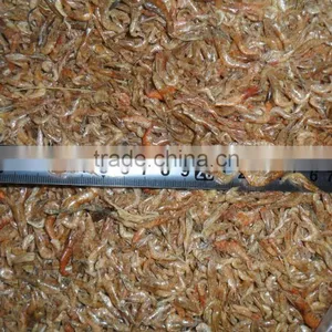 Turtle Food Freshwater Dehydrated Shrimp thumbnail-1