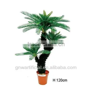 Bonsai Plant Ficus Tree Indoor GNW G41 thumbnail-1