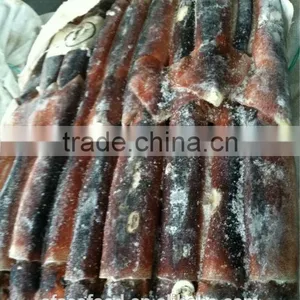 Competitive Price of Frozen Illex Squid thumbnail-3