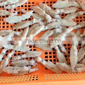 Frozen Chinese Baby Squid Loligo Japonica thumbnail-2