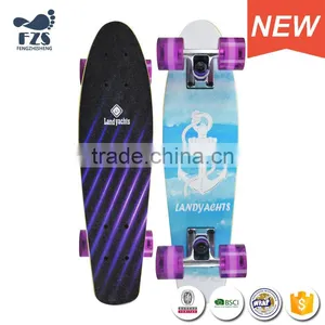 HSJ245 Manufacturers Wholesale Direct Small Fish Board Children Adult Skateboard Brush Street Step Maple Skateboard thumbnail-3