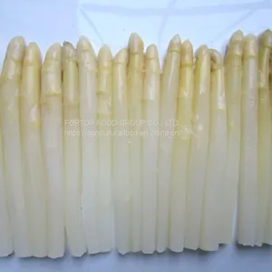 Factory Price Premium Quality FRESH Brined White Asparagus Spear in Glass Jar thumbnail-2