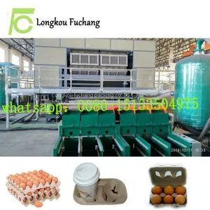 Eggs Cartons Making Machine Eggs Trays Machine Packaging for Quail Eggs Whatsapp:0086-15153504975 thumbnail-1