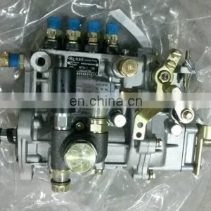 Fuel Injection Pump BQ2000 / BH4QT80R9 4QT72bz-1 thumbnail-1
