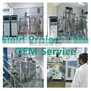OEM 1000l 2000l 10000l 10000 L 20000l 100000l 10l 50l 100l 300l 500l 500 L Industrial Bacterial Fermentor Bioreactor thumbnail-3
