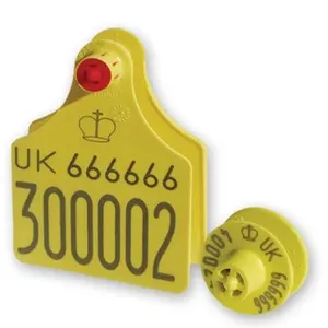 EM4205 EM4305 ISO11784 11785 12mm RFID Animal ID Tags Eartag Microchip for Animal Tracking thumbnail-1