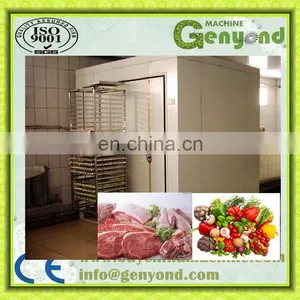 Blast Chiller (barbecued Pork Slice)/ Quick Freezing Machine / IQF Freezer thumbnail-2