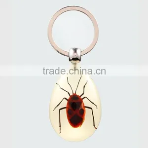 2016 New Spide Keychain With Real Insect thumbnail-2